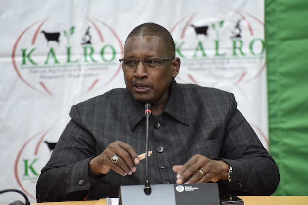 El Sur Global y la transformación agroalimentaria