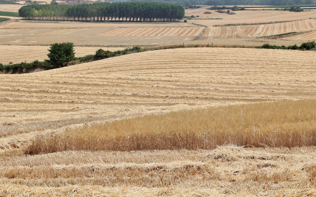 La UE acuerda una ley para vigilar y restaurar la salud del suelo