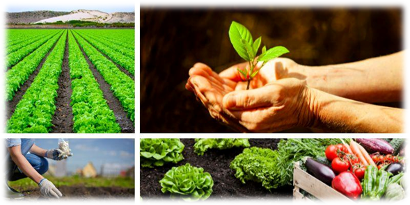 BIOSISTEMAS AGROALIMENTARIOS