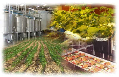 BIOSISTEMAS AGROALIMENTARIOS